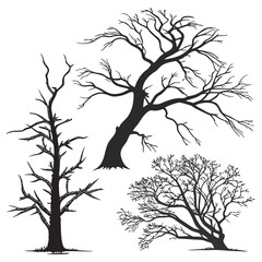 Black tree silhouettes bare branches trees white