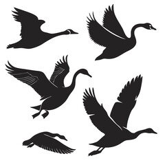 Flying geese and swans silhouettes birds