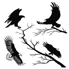 Four eagles in flight on branches bird silhouette