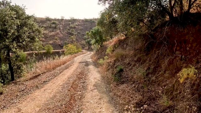 Camino Mozarabe de Santiago - a dirt road on a summer landscape between Junta de los Caminos and Almogia, M&aacute;laga, Andalusia, Spain