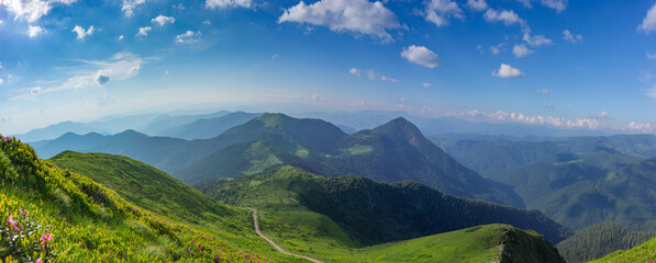 A panorama of the summer Carpathian Mountains. View from the mountain Pip Ivan Marmaroshsky.