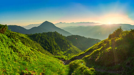 Panorama of a summer mountain landscape at dawn. A faint mountain spring flows in a small ravine.