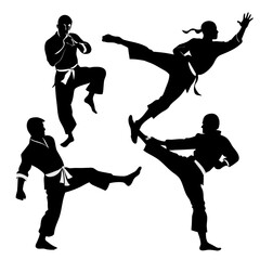 Martial artists kicking poses silhouettes martial arts