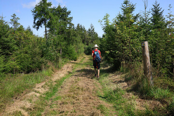 Hiking in the Nature Reserve, Tiefenhäuser Moos, Tiefenhäuser Moor, Black Forest, Baden-Württemberg, Germany