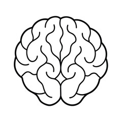 Handdrawn Brain on Showing Cerebral Cortex Outline cerebrum