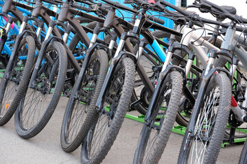 Mountain bikes lined up for an exciting ride in the vibrant city park