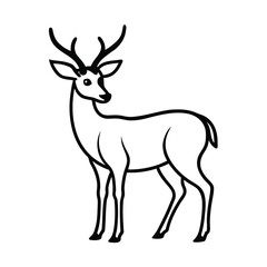 Handdrawn Deer with Antlers Standing on animal wildlife