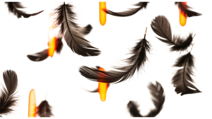 Delicate black feathers floating on a white background with blurred orange shapes.
