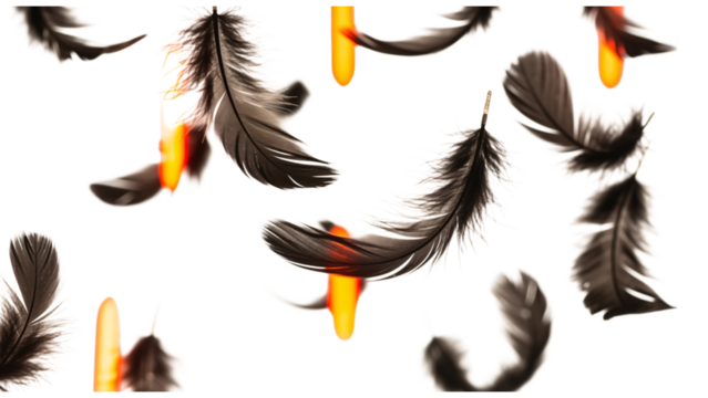 Delicate black feathers floating on a white background with blurred orange shapes.
