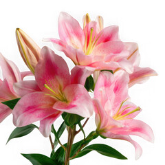 Naklejka premium A close up shot of a bouquet of pink lilies against a white background space