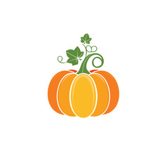 Orange pumpkin with green leaves and vine squash gourd
