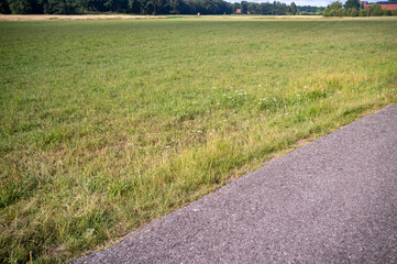 Asphalt road bordering a green meadow with wildflowers and forest in the distance