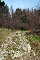 Hiking trail to Mount Giarolo, Alessandria, Piedmont, Italy