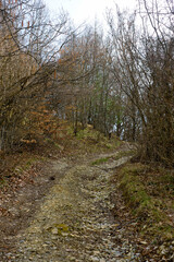 Hiking trail to Mount Giarolo, Alessandria, Piedmont, Italy
