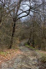 Hiking trail to Mount Giarolo, Alessandria, Piedmont, Italy