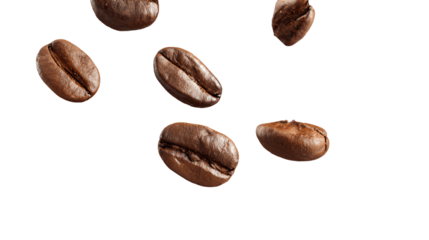 A scattering of freshly roasted coffee beans on a white background, showcasing their rich colors and textures.