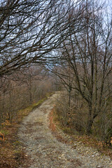 Hiking trail to Mount Giarolo, Alessandria, Piedmont, Italy