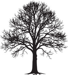 Obraz premium Leafless Winter Tree Silhouette Vector – Black Seasonal Forest Scene Graphic