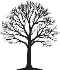 Obraz premium Leafless Winter Tree Silhouette Vector – Black Seasonal Forest Scene Graphic