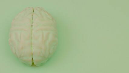 white brain 3d model on soft light green background
