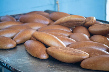 Freshly Baked Traditional Bread Loaves on a Metal Surface