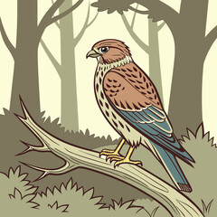 vector illustration of a bird