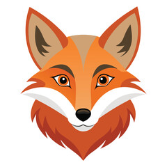 Obraz premium red fox vector illustration