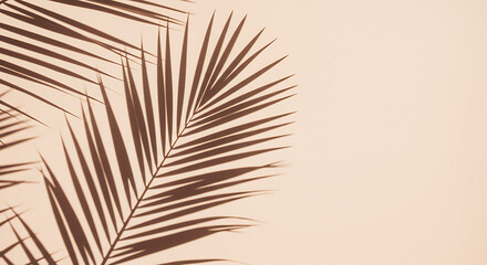 Shadow of a palm leaf on a pastel background.