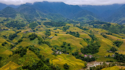 Fototapeta premium Magnificent Golden Rice Terraces