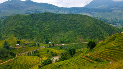Rice Terraces Surrounding Bridge
