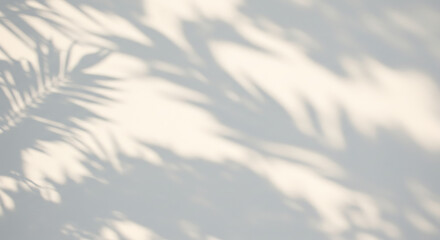 Light and shadow patterns cast by palm leaves on a wall.