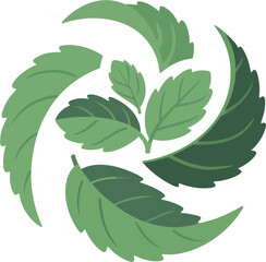 Swirling Mint Leaf Logo – Circular Herbal Design with Peppermint Leaves in Green Vector Style