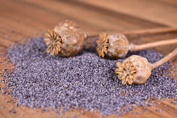 Dried poppy heads and a pile of poppy seeds, on a wooden background, full depth of field
