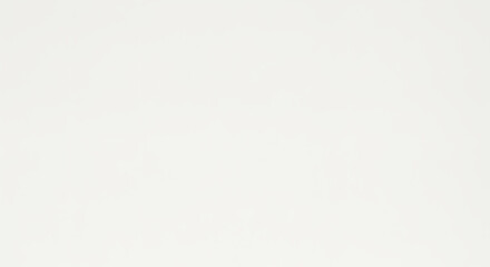 Blank white surface with a subtle texture.