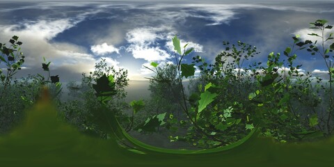Trees in the fog, Environment map, HDRI map, equidistant projection, Spherical panorama, landscape, 360,
3D rendering