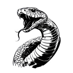 Cobra roaring silhouette illustration, Silhouette illustration of a cobra with its hood expanded, isolated on transparent background