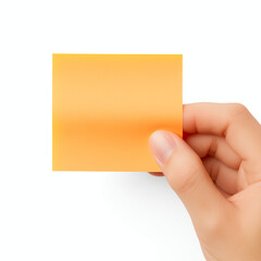 hand holding a blank paper