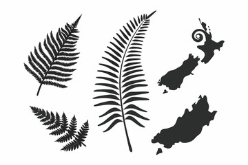 Kowhai, New Zealand Native Plant Illustration
