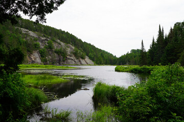 Lake bordered by lush green marsh grasses and a rocky, forested hillside, winds into the distance...