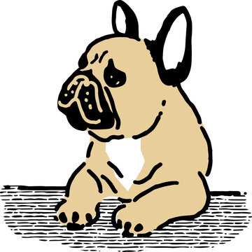 rench Bulldog Illustration &ndash; Sitting Pose (fawn)