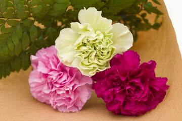 Carnation flowers from Equador, in unusual colors