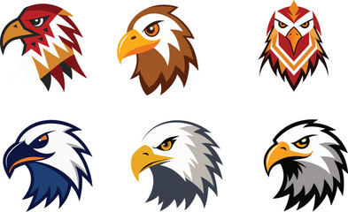Fototapeta premium Eagle Head Color Vector Illustration