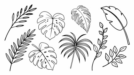 Obraz premium Collection of greenery leaf plant forest herbs tropical leaves 