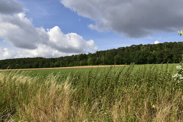Natur und Ausblick zwischen Elze und Alfeld