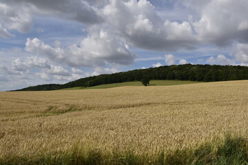 Natur und Ausblick zwischen Elze und Alfeld
