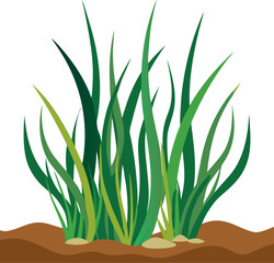 Seagrass icon