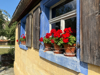 Fensterbank mit roten Blumen