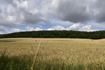 Natur und Ausblick zwischen Elze und Alfeld