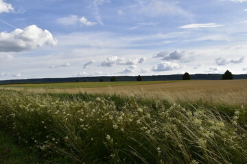 Natur und Ausblick zwischen Elze und Alfeld