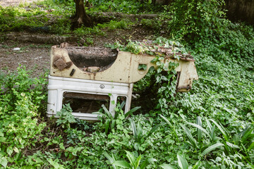Abandoned vehicle slowly being consumed by nature, with rust and overgrown foliage in this unique...